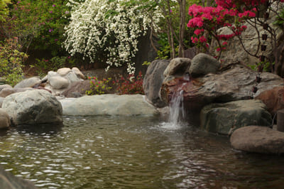 熊谷天然温泉花湯スパリゾート