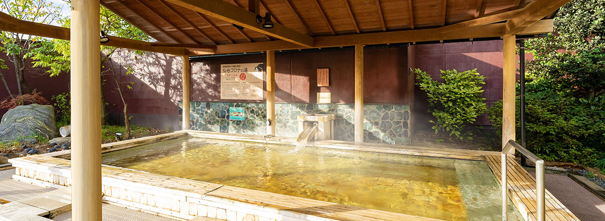大江戸温泉物語 仙台コロナの湯